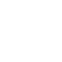 MULTI-PAGE WEBSITE