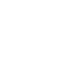 SINGLE-PAGE WEBSITE